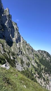 Fotografija s spletne strani Mountain Cat ? ⛰️ na poti