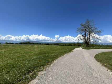 Zdjęcie z Andi Felix wzdłuż trasy