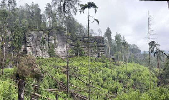 Fotografia z Norbert Herbig na trase