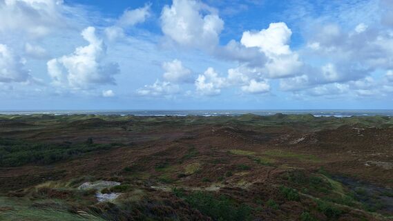 Zdjęcie z Thomas G. wzdłuż trasy