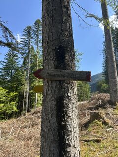 Foto von Iwona Sakowicz entlang der Tour