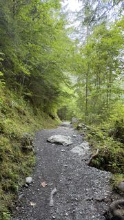 Fotografija s spletne strani Peter Burki na poti