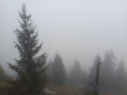 Foto von Gloria 1 entlang der Tour