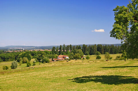 Blick auf den Metzlinschwander Hof