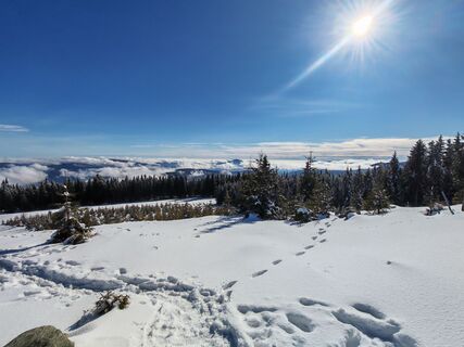 Photo de v.stein le long du parcours