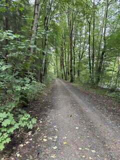 Photo de Günter Ritzer le long du parcours