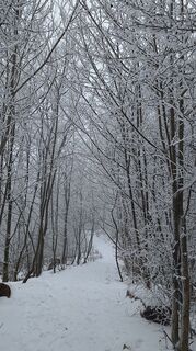 Foto de Regina Fleischmann a lo largo del recorrido