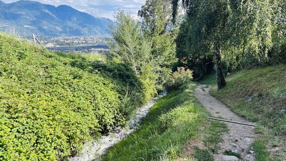 Fotografija s spletne strani Eva Theiß na poti