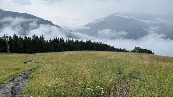 Foto von Oliver Barz entlang der Tour