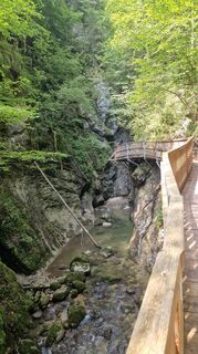 Foto von Claudia Maurer entlang der Tour