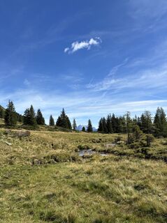 Foto von Alexander Schober entlang der Tour