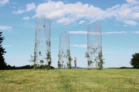Himmelstropfen - Open Mind Place in Referinghausen