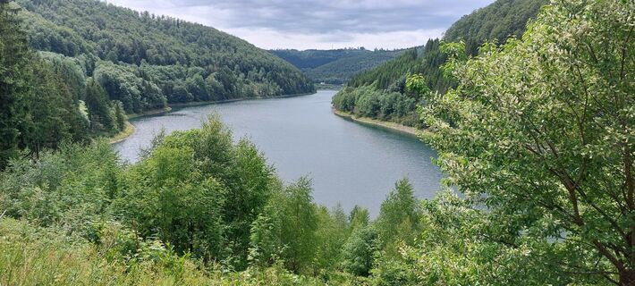 Photo de Andreas Heyder le long du parcours