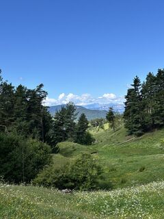 Fotó a Diana Zeelte honlapról a túra során