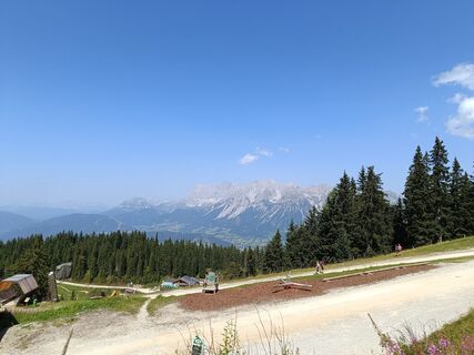 Foto da Hanneshartl1965 lungo il tour