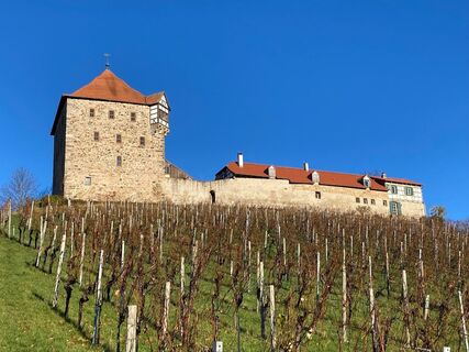 Burg Wildeck | Abstatt | HeilbronnerLand