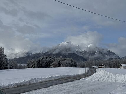Photo de Grizzli le long du parcours