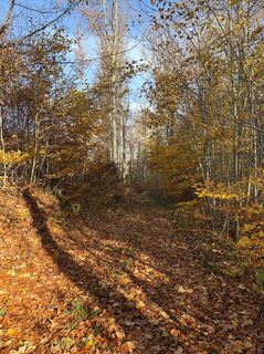 Fotografia z TallWanderBilly na trase