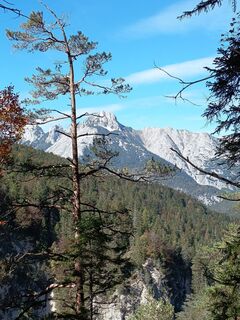 Fotografia z Petra na trase