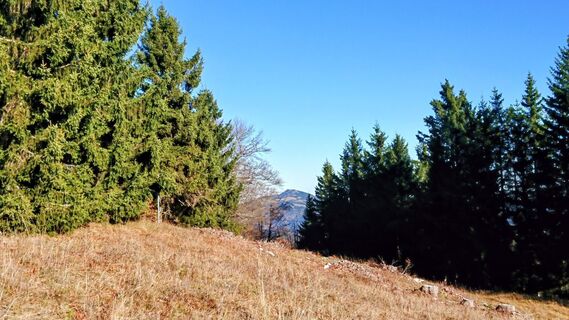 Fotografia z Manfred Steinböck na trase