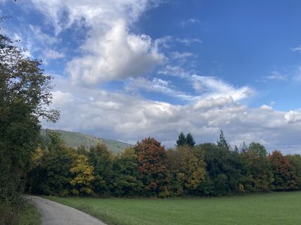 Photo de Reinhard S le long du parcours