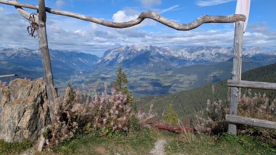 Fotografia z Pfefferam na trase