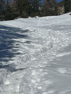 Foto fra Carola Krems underveis på turen