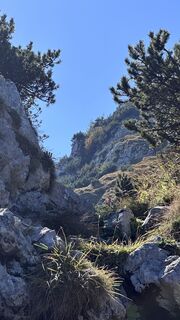 Photo de Mountain Cat ? ⛰️ le long du parcours