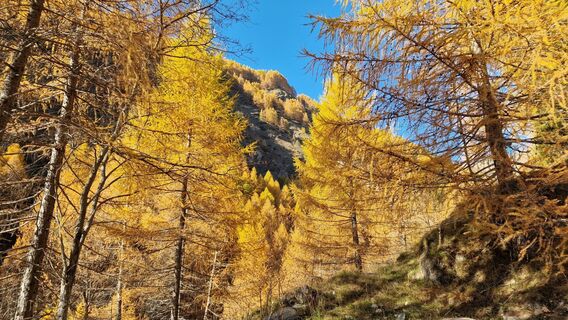 Fotografija s spletne strani Fabrizi Mellano na poti