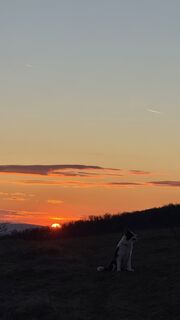 Foto de Balázs Lengyel 1 a lo largo del recorrido