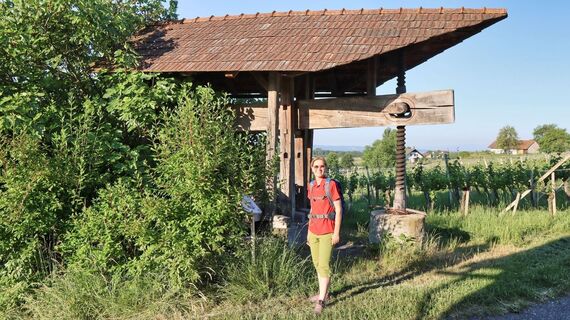 Eine alte Traubenpresse