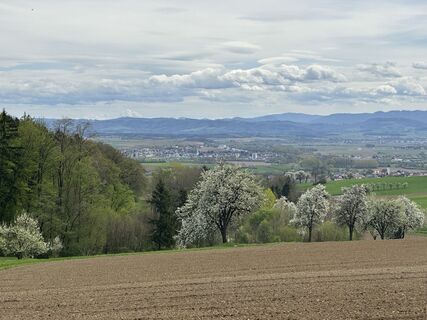 Foto von webrch entlang der Tour