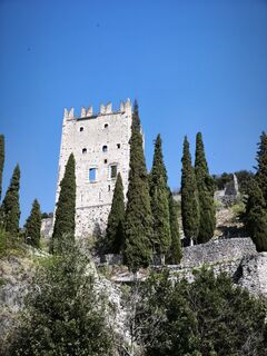 Foto de Schmidi a lo largo del recorrido