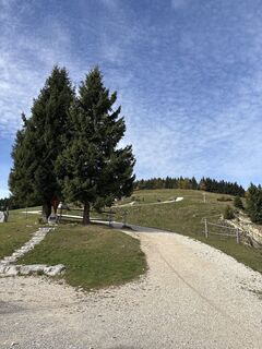 Photo de Heinz Sperl le long du parcours