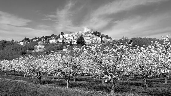 Fotografia z Thomas Schwarz na trase