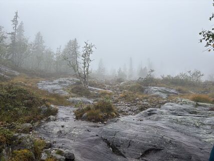 Foto fra Jako Koel undervejs på turen