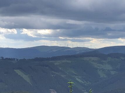 Foto de Josef Pauli 1 a lo largo del recorrido