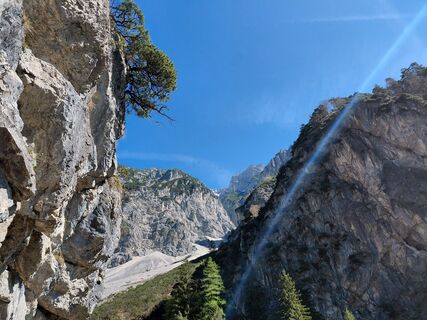 Fotografia z Sabine Steuxner na trase