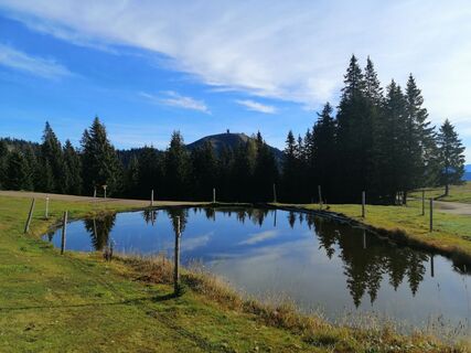 Fotografija s spletne strani Christina Turnwald na poti