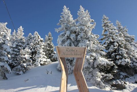Aufstieg zum Prodkopf