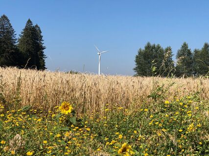 Zoznegg Judentenberg Aussicht