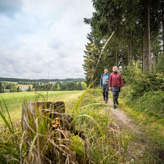 auf dem Weg nach Carlsfeld