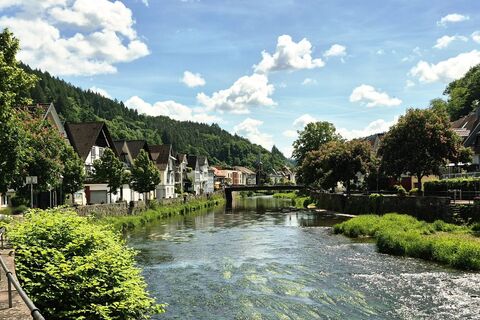 Am Ufer der Kinzig in Wolfach