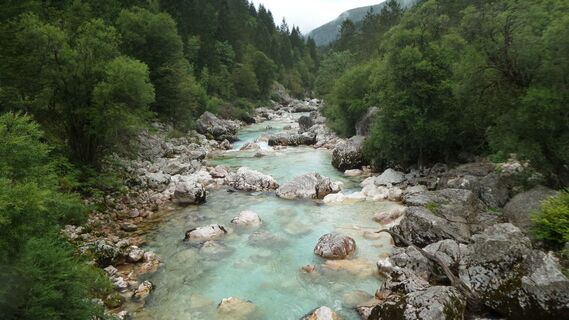 Soča