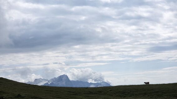 Photo de King Whisky le long du parcours