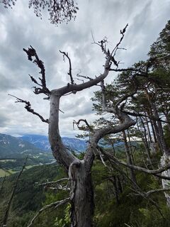 Foto von Michael Kammerer 2 entlang der Tour