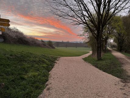 Fotografia z Schaali na trase