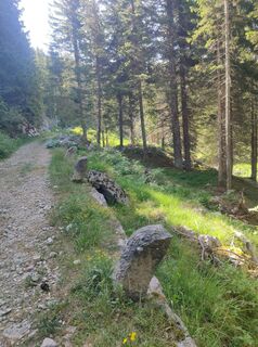 Photo de Lorenzo Martinelli le long du parcours