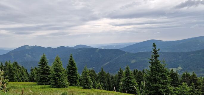 Foto von Maria Krenauer entlang der Tour