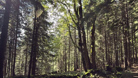 Foto von Horst-Dieter Lutz entlang der Tour
